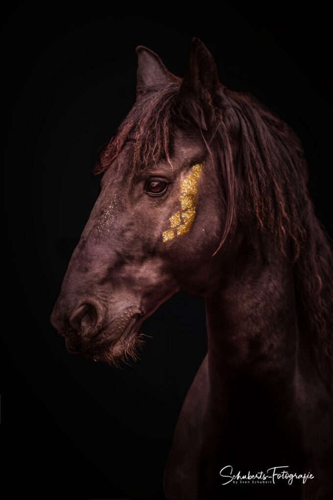 Pferdeporträt mit Blattgold