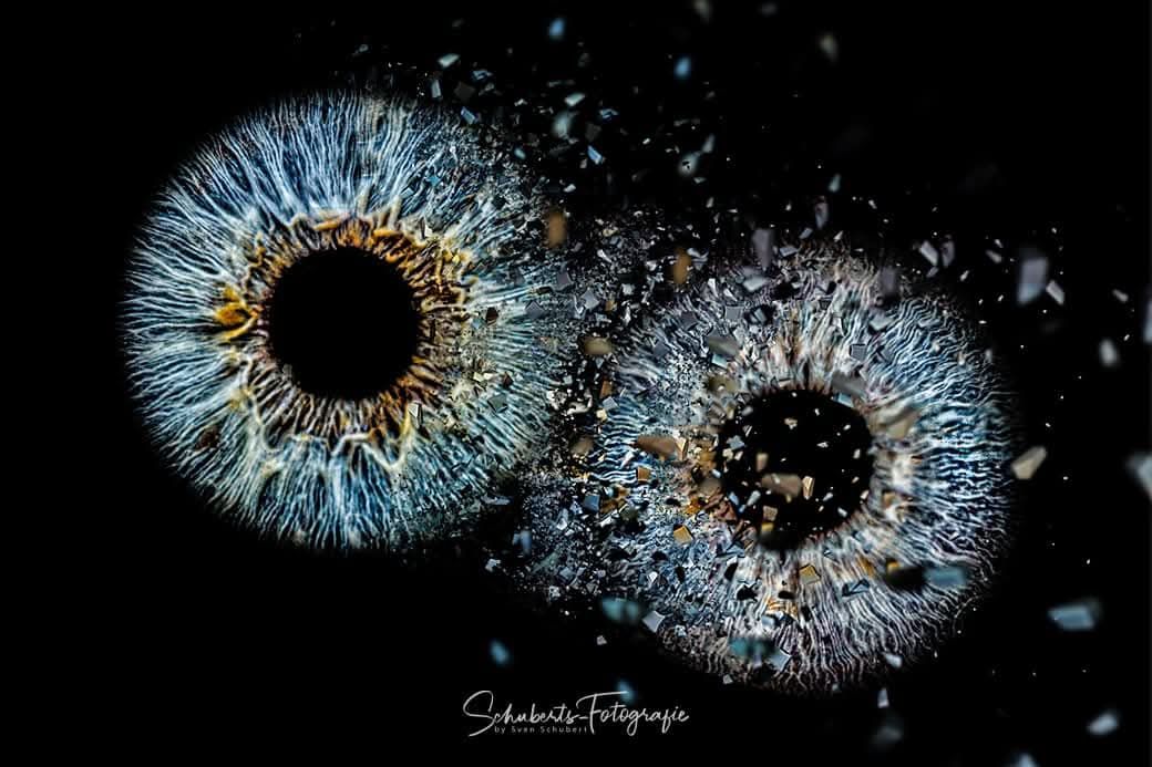 Detailaufnahme einer Iris in der Irisfotografie